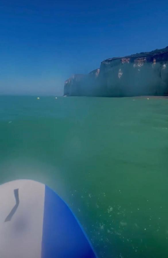 Residence Pleine Mer Saint-Pierre-en-Port Εξωτερικό φωτογραφία
