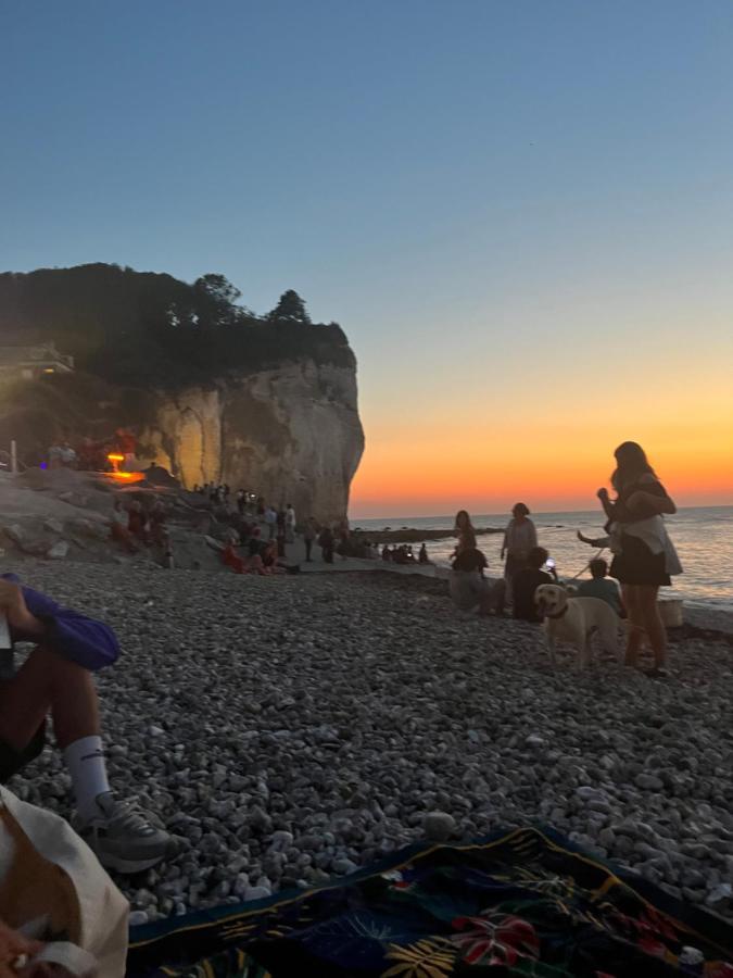 Residence Pleine Mer Saint-Pierre-en-Port Εξωτερικό φωτογραφία