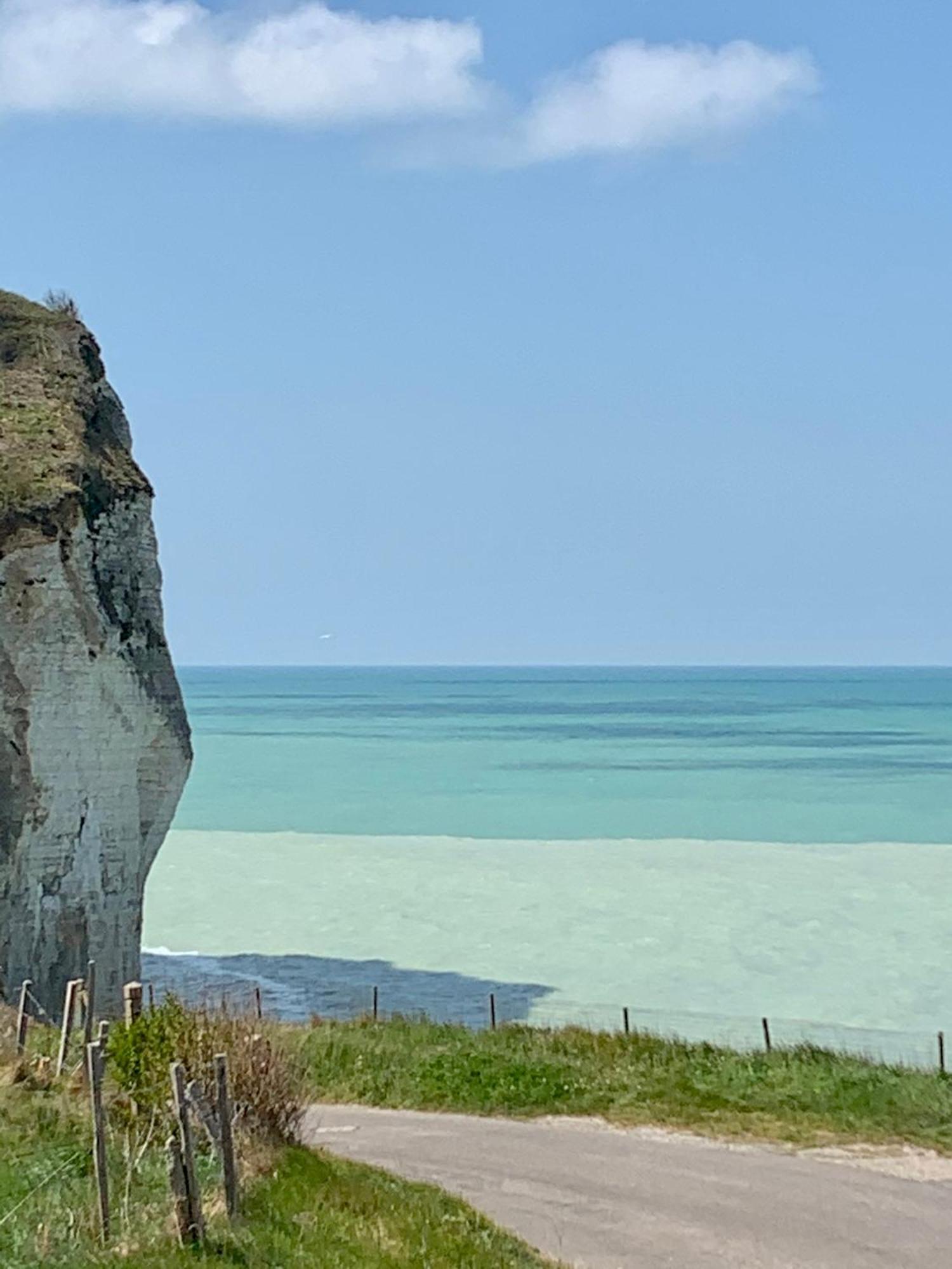 Residence Pleine Mer Saint-Pierre-en-Port Εξωτερικό φωτογραφία